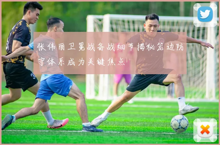 张伟丽卫冕战备战细节揭秘笼边防守体系成为关键焦点