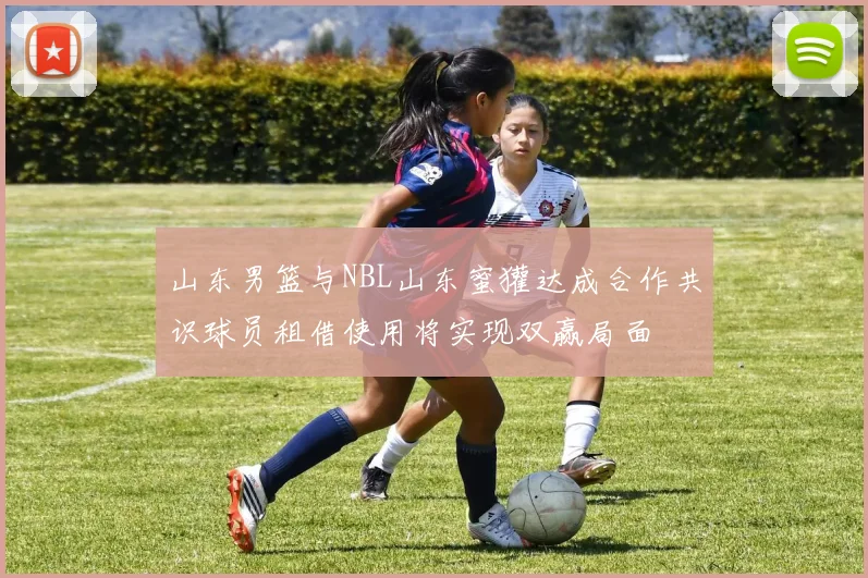 山东男篮与NBL山东蜜獾达成合作共识球员租借使用将实现双赢局面