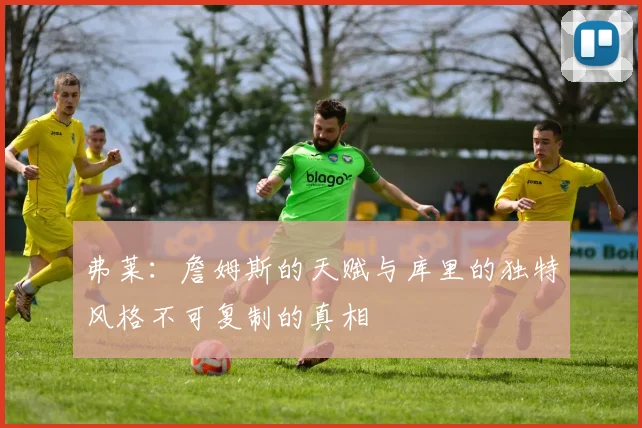 弗莱：詹姆斯的天赋与库里的独特风格不可复制的真相
