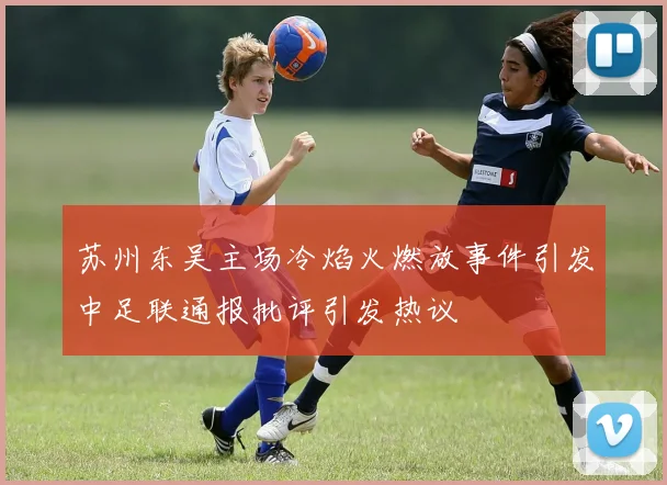 苏州东吴主场冷焰火燃放事件引发中足联通报批评引发热议
